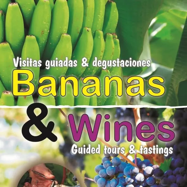 Vineyard and banana plantations in southern Tenerife