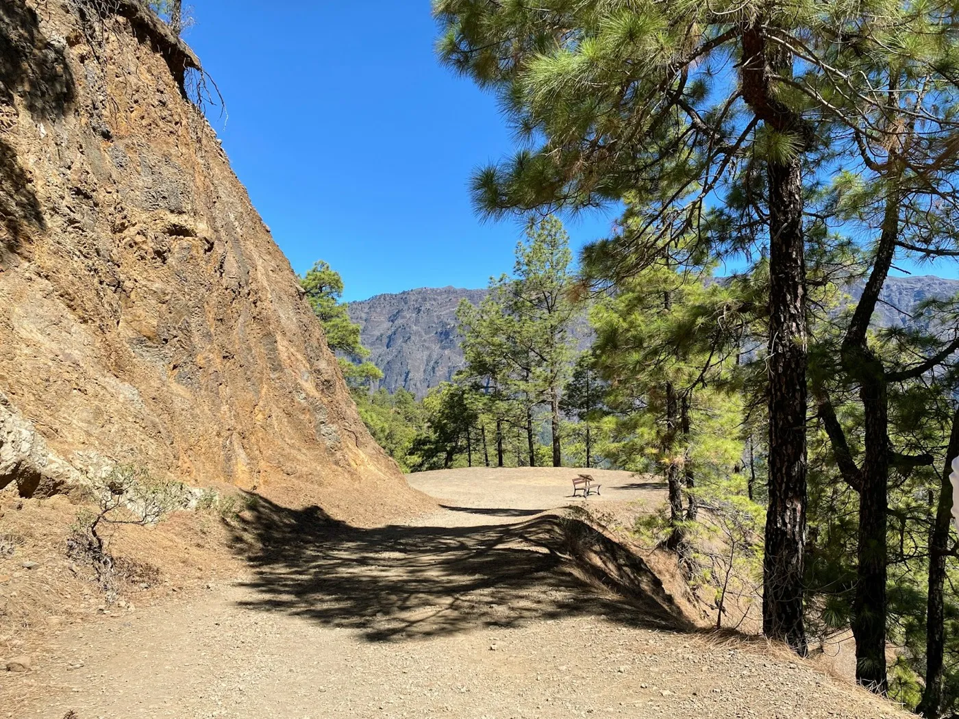 Sendero de tierra entre pino canario, con la montaña al fondo
