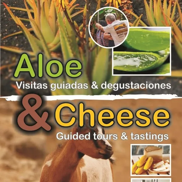 Quesos artesanales canarios en una quesería del sur de Tenerife